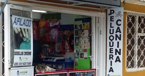 BIGOTUDOS PET SHOP BIGOTUDOS PET SHOP